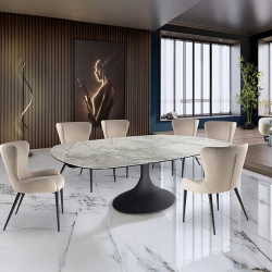 Обеденный стол Alina 629485 в интерьере 